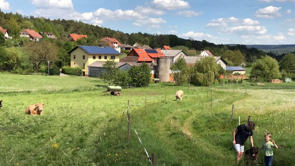 Ferienwohnungen Elsbacher Hof Erbach  Exterior foto